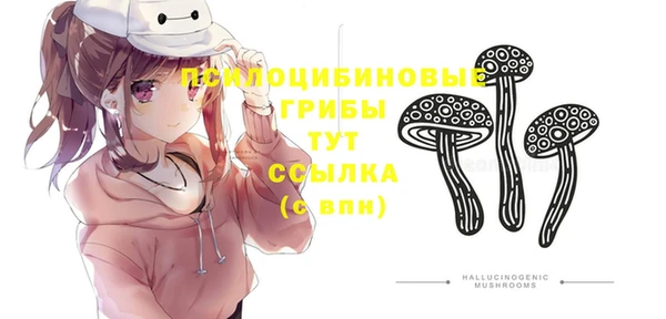 дживик Гусиноозёрск