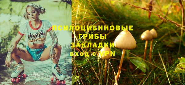мескалин Гусев