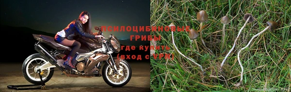 мескалин Гусев