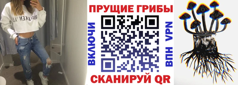 Псилоцибиновые грибы мухоморы  Далматово 